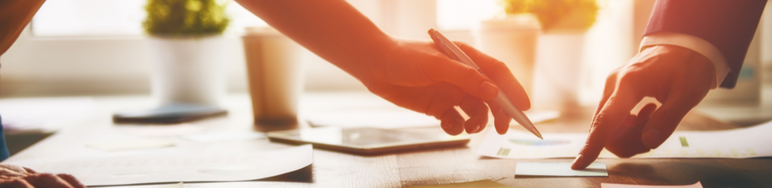 ГУО Несвижская гимназия